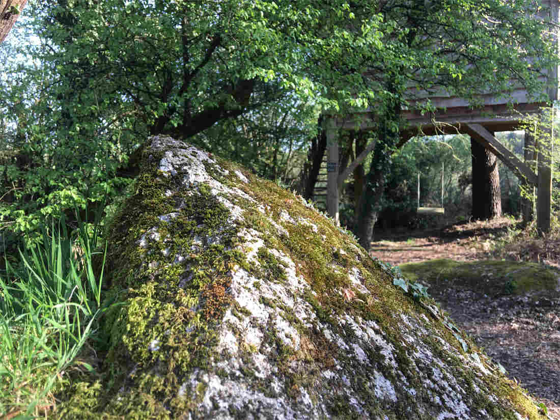 Isidore-Megalithe-Bretagne-en-cabane